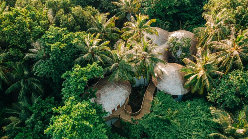 Aerial view of three domed, eco-friendly buildings nestled among lush green trees and palm trees in a dense tropical forest. Wooden pathways connect the structures, blending seamlessly with the natural surroundings—experience this idyllic retreat with Soneva Exclusive Offers.