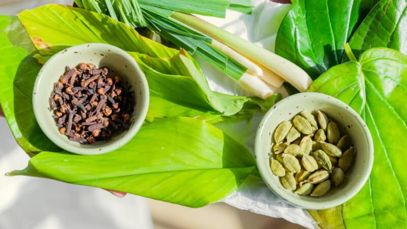 A display of fresh green herbs and spices on a large green leaf evokes a sense of Maldives spa wellness. Two small green bowls contain cloves and cardamom pods, while long green blades of lemongrass and large leafy greens surround them, all set on a bright, sunlit surface.