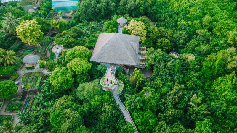 Aerial view of a lush green forest with a central treehouse featuring a thatched roof. Elevated walkways connect the treehouse to various platforms and structures nestled among the trees, evoking a serene Maldive spa ambiance. Small gardens and pathways are visible within the dense foliage.