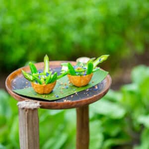 A round wooden tray holds two small, edible leaf-wrapped treats garnished with vibrant blue and white flowers. The tray sits atop a wooden stand, surrounded by lush green foliage, creating a serene outdoor setting reminiscent of a Maldives spa wellness retreat.