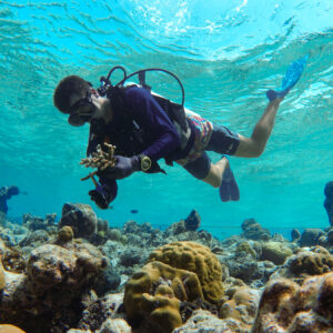 A scuba diver, supported by the Soneva Charity Foundation, wears a wetsuit, mask, and fins as they explore a vibrant coral reef in the Maldives. The diver is holding a piece of coral, observing it closely. Clear blue water surrounds them, with various coral formations and marine life visible in the background.
