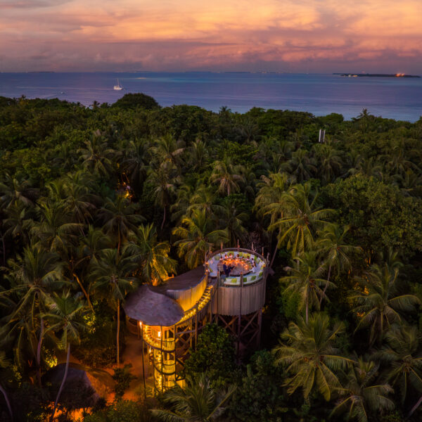 Aerial view of a treehouse restaurant nestled among dense palm trees at sunset. The elevated dining area glows warmly with lights, overlooking a vast forest landscape and the calm ocean beyond, beneath a twilight sky with subtle orange and pink hues—true Maldives dining at Soneva Fushi.
