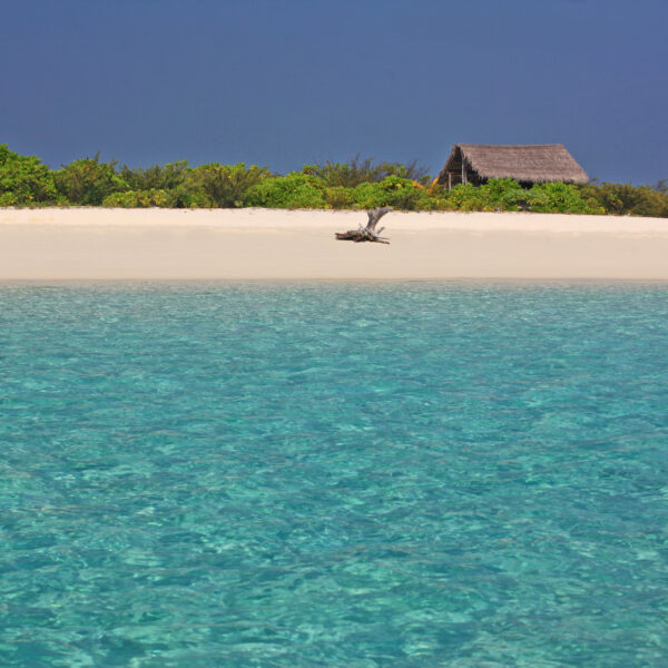 A serene tropical beach in the Maldives with clear turquoise water in the foreground. The sandy shore is lined with lush green vegetation, and two thatched-roof huts can be seen slightly away from the water's edge, providing an exclusive Soneva experience. The sky is clear and deep blue.
