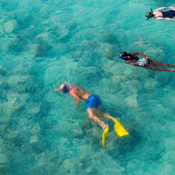 Aerial view of four people snorkeling in the clear, turquoise waters of the Maldives. Sporting snorkels and colorful fins, they float above a visible seafloor. This exclusive Soneva experience shows them spread out, moving gracefully through the water and enjoying the vibrant aquatic environment.