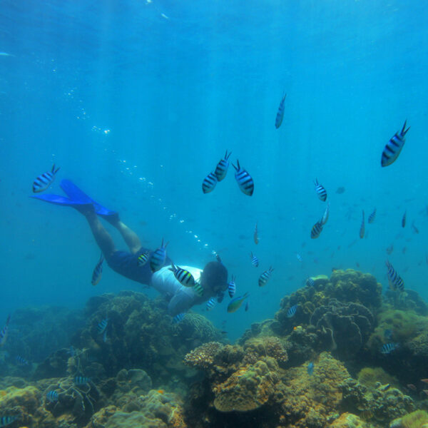 Soneva Kiri - Complimentary Luxury Villa Inclusions - Snorkelling