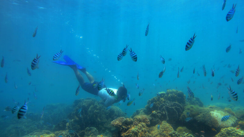 Soneva Kiri - Complimentary Luxury Villa Inclusions - Snorkelling