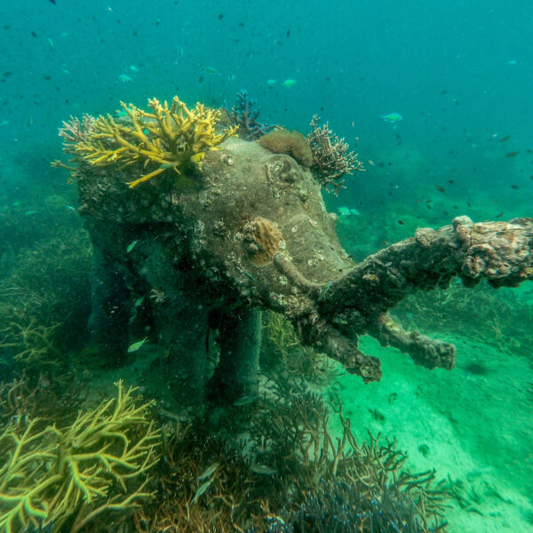 An underwater sculpture of an elephant serves as a coral reef at Soneva, adorned with various corals and marine life. The scene is teeming with fish and other sea creatures against a backdrop of blue-green water and surrounding reefs, offering a Thailand exclusive experience.