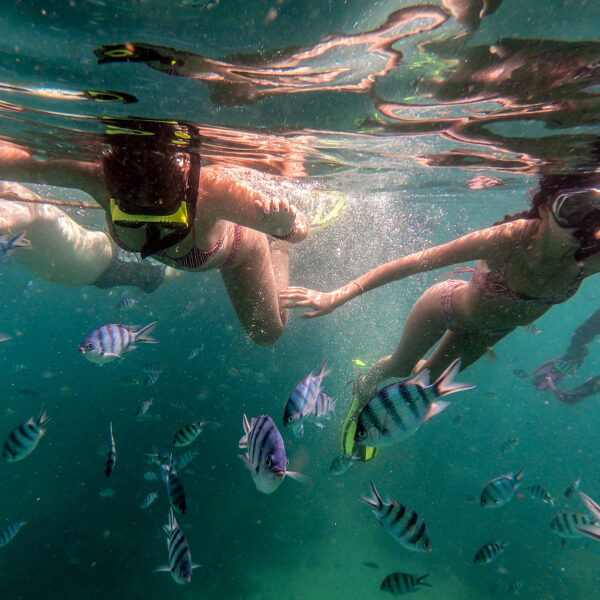 Two snorkelers swim underwater, holding hands and surrounded by striped fish in the clear blue-green waters of Soneva, Thailand. The image captures the vibrant underwater life and the tranquil experience of this exclusive snorkeling adventure. Both snorkelers are wearing masks and swimwear.