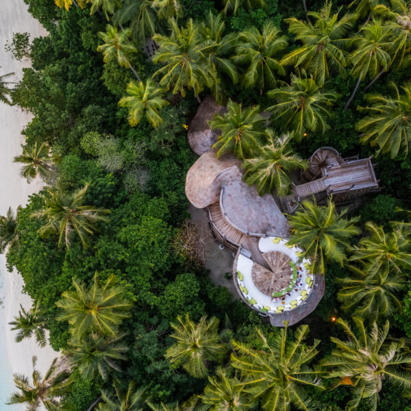 Aerial view of a tropical scene with dense green palm trees surrounding curved, wooden structures. A white circular platform is visible among the trees. To the left, clear turquoise water meets a sandy beach.