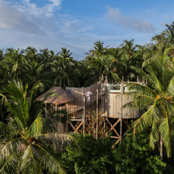 A person is standing on a wooden treehouse deck surrounded by lush green palm trees. The sky is partly cloudy, and the treehouse has a unique thatched roof visible amidst the dense foliage.
