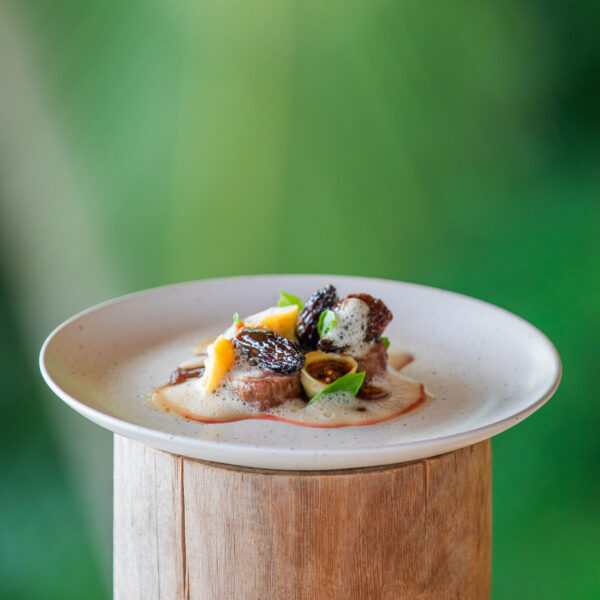A white plate sits on a wooden surface, holding a gourmet dish with small, artfully arranged portions of meat, sliced fruits or vegetables, and herbs. The background is a blurred green, suggesting a natural, outdoor setting.