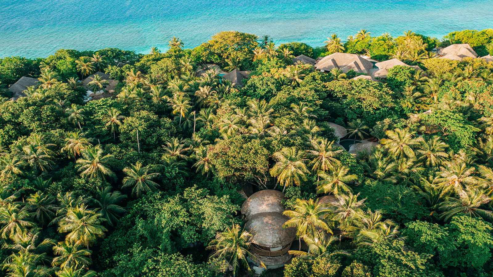 Aerial view of a tropical island with lush greenery and palm trees. Thatched-roof bungalows, part of a serene Maldive spa wellness retreat, are nestled among the dense foliage. The turquoise ocean is visible in the background, conveying a secluded getaway.